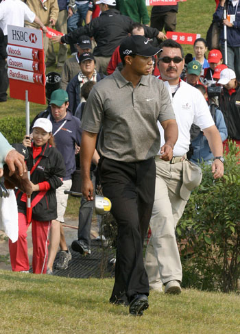 On the prowl: Curlewis and Tiger, Shanghai, 2006