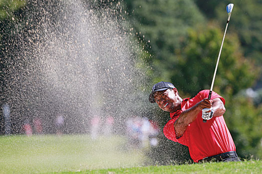 Tiger Woods struggled until the final day to finish the Playoffs in second place