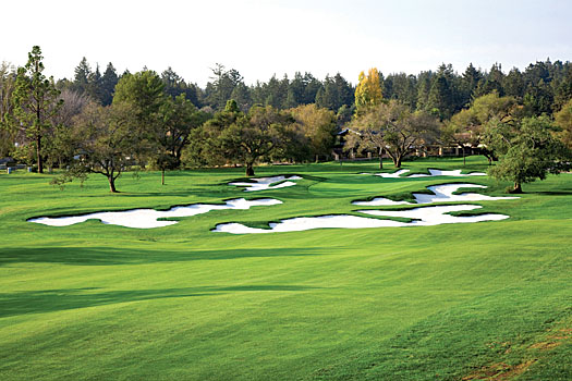 Dr Alister MacKenzie’s distinctive bunkering on show at the par-5 13th