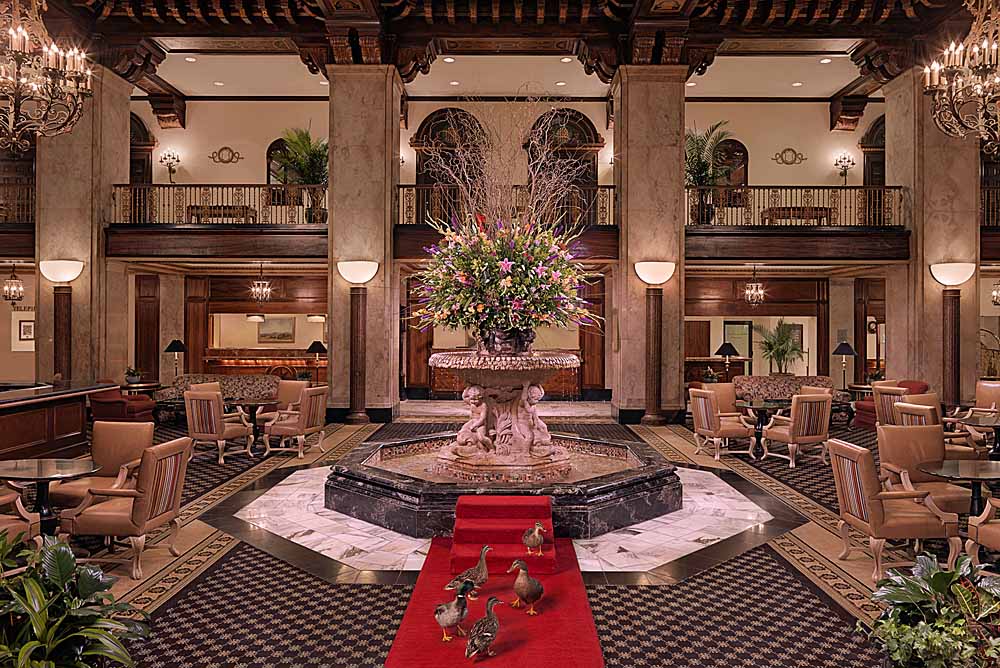 The famous lobby (and ducks!) of the Peabody Hotel