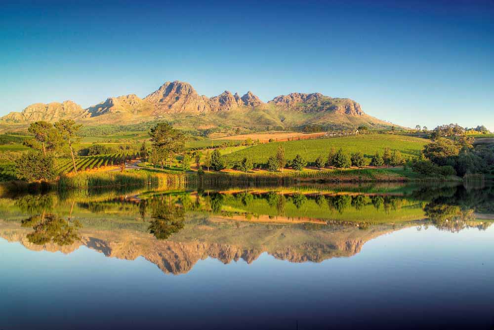 Els' vines nestle on the sun-baked slopes of Helderberg Mountain