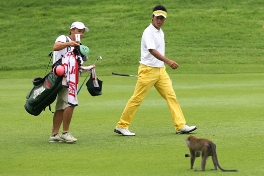 Hideki Matsuyama