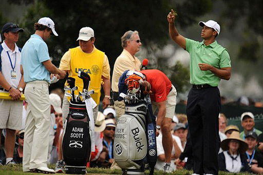 Adam Scott (left) Tiger Woods (right)