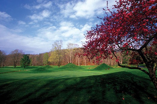 The 5th hole on The Old White Course