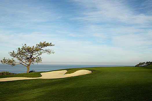 Torrey Pines hosted the 2008 US Open